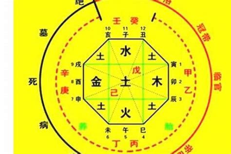 7号人五行|生辰八字算命、五行喜用神查询（免费测算）